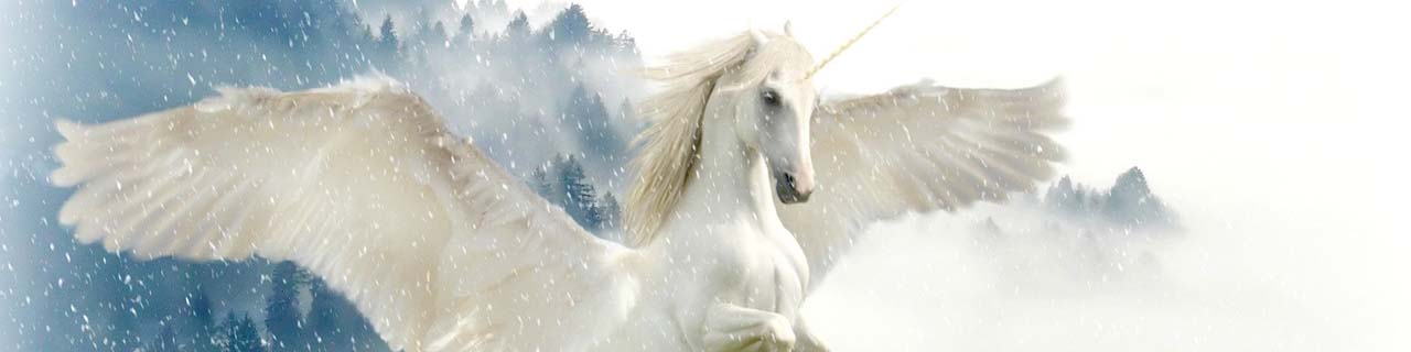 Is the Perfect Commercial Tenant a Unicorn Is the Perfect Commercial Tenant a Unicorn